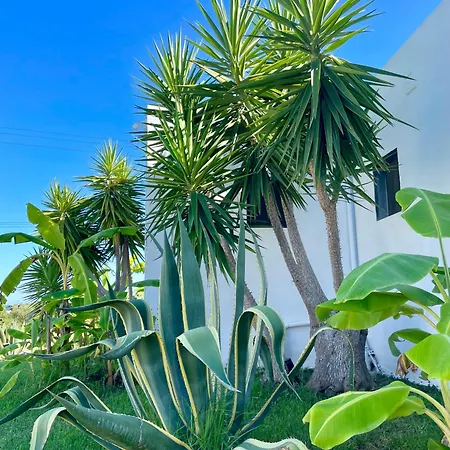 Tatil Evi Soulbreeze Kos, Haus 1 *